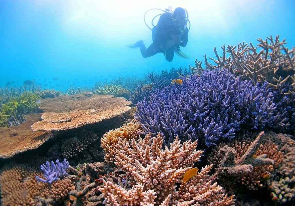 Chagos-Island-amazing-water-bodies-of-the-world