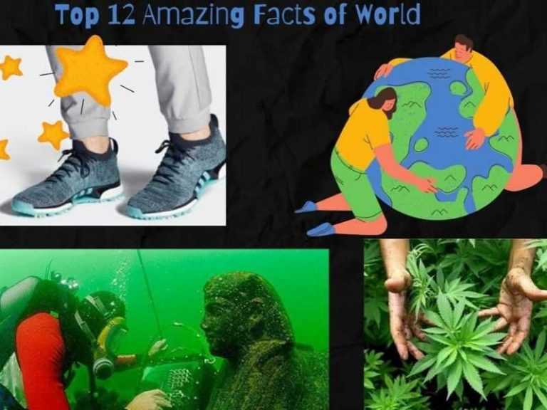 amazing-facts-of-world